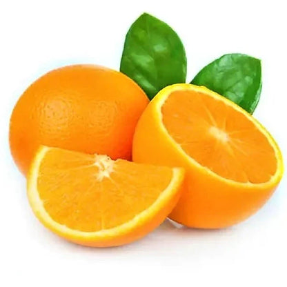 Citrus orange, Abu Surra, Orange Tree