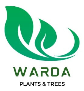 WARDA Plants