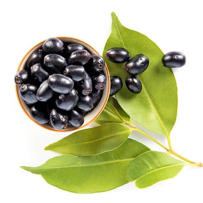 Black Plum, Syzygium Cumini, Java Plum, Jamun, Jambolan